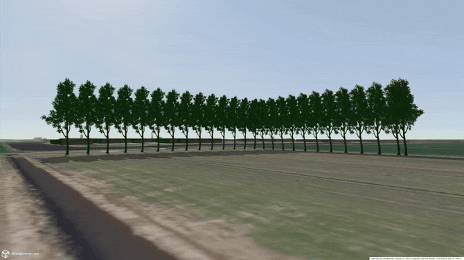 random-trees-1